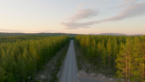 Volando-Sobre-Una-Carretera-Asfaltada-Vacía-Por-Un-Bosque-De-Abetos