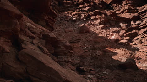 Grand-Canyon-National-Park-red-rocks