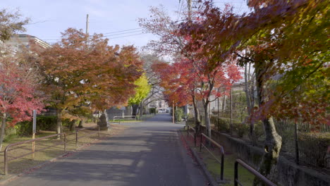 a street in tokyo under the special colors of autumn