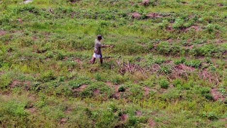 man collecting cut branches in field, indonesia, asia