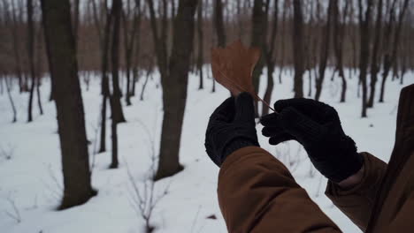person holding a dry leaf in a snowy winter forest