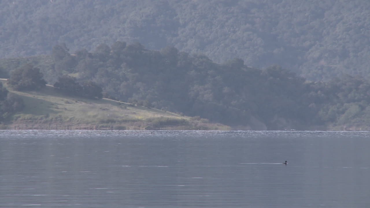 오크 뷰 캘리포니아 1의 레이크 카시타스에서 코치가 따라오는 8인용 노 젓기 스윕 패닝