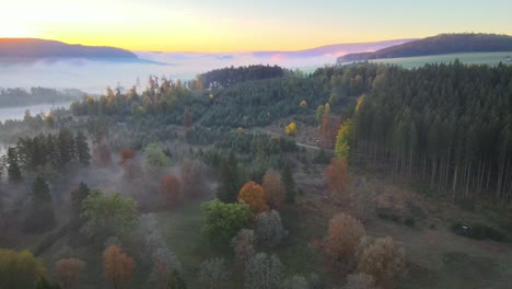 Sunrise-in-a-misty-forest