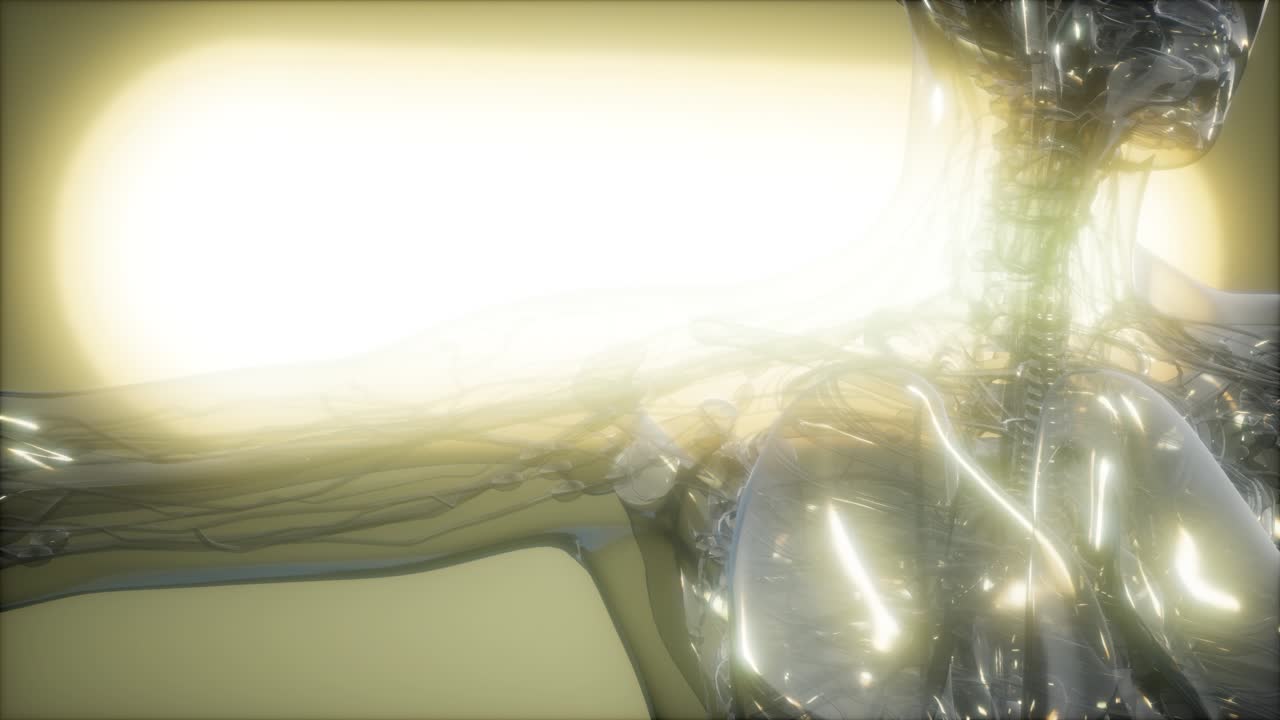 imagen de rayos x del cuerpo humano