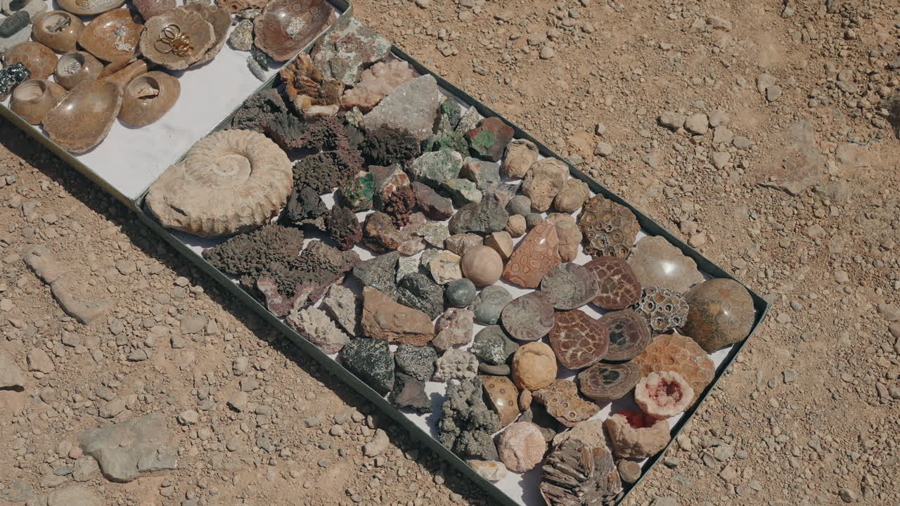 Collection of ammonite fossils minerals and polished stones displayed on tray for sale on desert ground near Erfoud