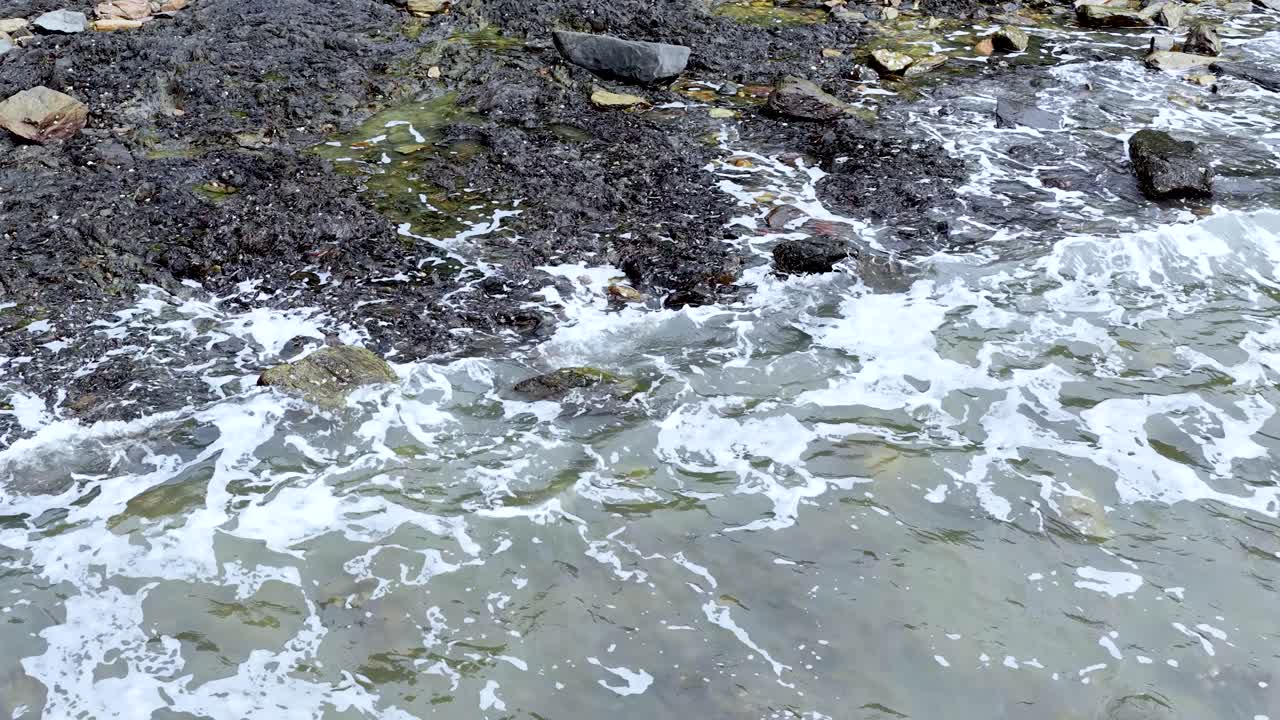 Foamy ocean waves wash over rocky, algae-covered shoreline under natural daylight, static overhead perspective