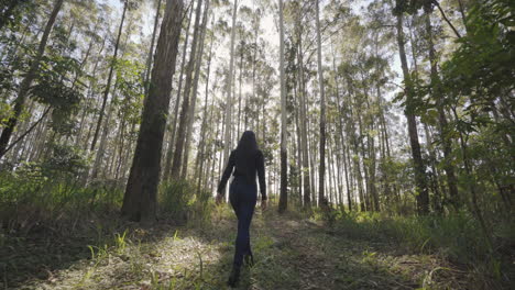 vista trasera: mujer turista caminando en el bosque de otoño en un soleado día de otoño