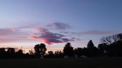 ciervo en un campo al atardecer-16