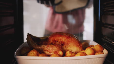 view looking out from inside oven as man cooks sunday roast chicken dinner