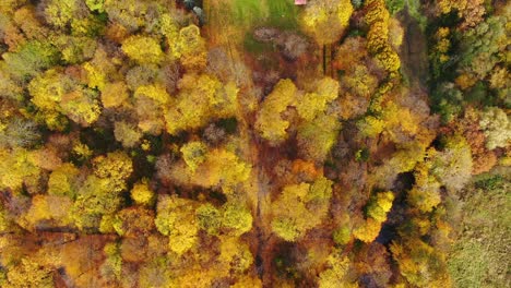 Luftaufnahme-Des-Wunderschönen-Palastes-In-Schweden