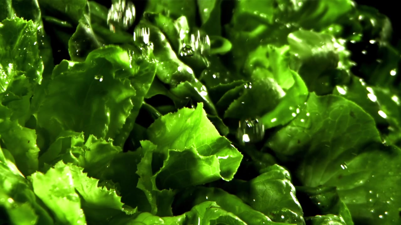 Gocce d'acqua che cadono al rallentatore su foglie di lattuga verde fresca