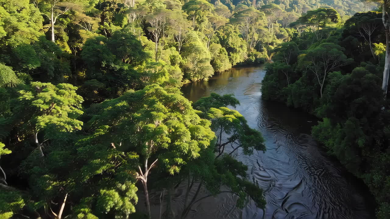 Aerial View of a Lush Rainforest River