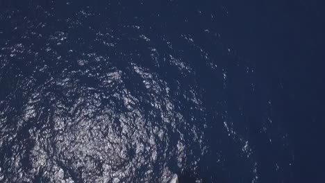 Aerial-top-down-forward-over-sailboat-on-blue-sea