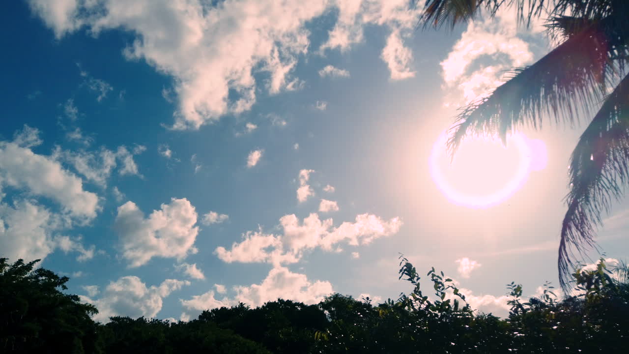 Timelapse of cloudscape above trees with green foliage and blue sky