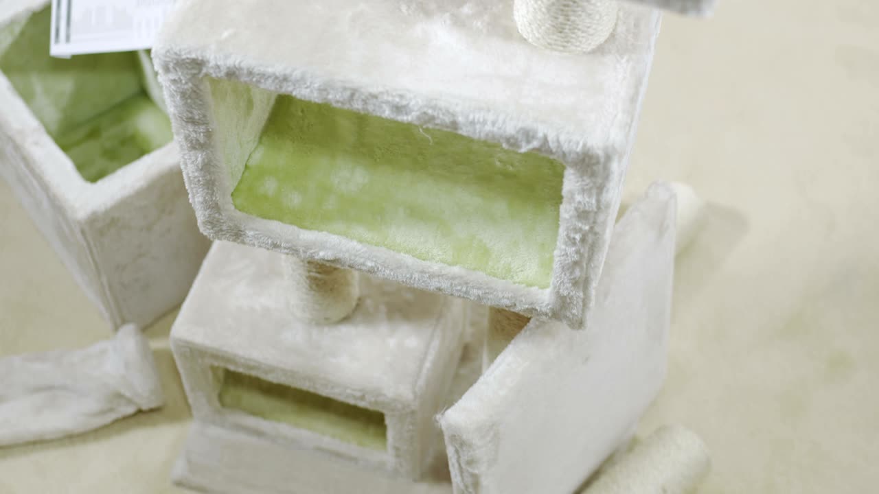 거실에서  나무 타워 등반기를 바닥에서 천장에 조립합니다.