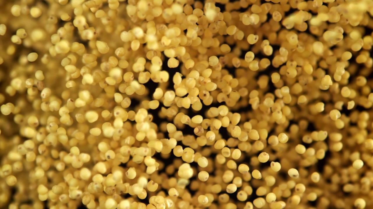 Chicchi di miglio dorato che galleggiano e turbinano nell'acqua