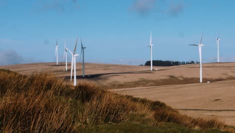 parque eólico que genera electricidad limpia sobre el paisaje rural