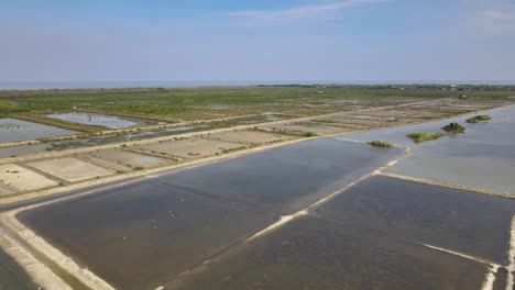 4k aerial drone footage of a pull out shot with birds and salt lake in ban laem, phetchaburi, thailand