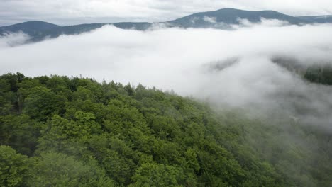 aerial trucking shot over the woods in a mountain valley with thick vapor due to the condensation process of creating clouds by the forest