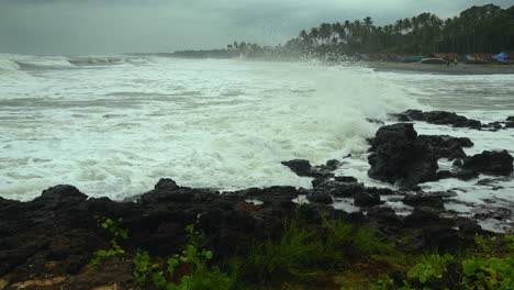 sea wave splashing on a cost rock