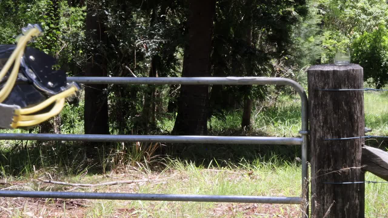 secuencia de un caballo saltando una valla en un bosque