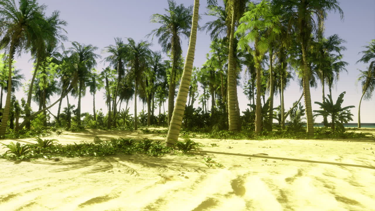 Sunny tropical landscape with palm trees and sandy ground