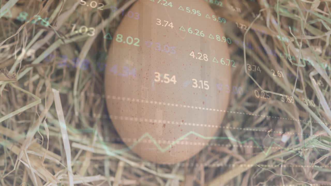 둥지에서 갈색 달의 클로즈업에 이동하는 변화하는 숫자와 그래프의 애니메이션