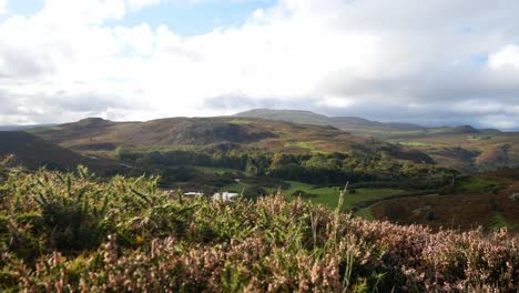 welsh windy countryside rural farmland mountain valley landscape blowing foreground heather