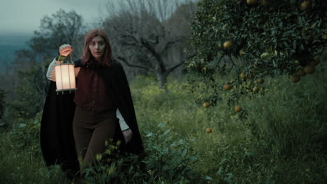 mystery of a woman walking among orchard trees in woods at night with lantern