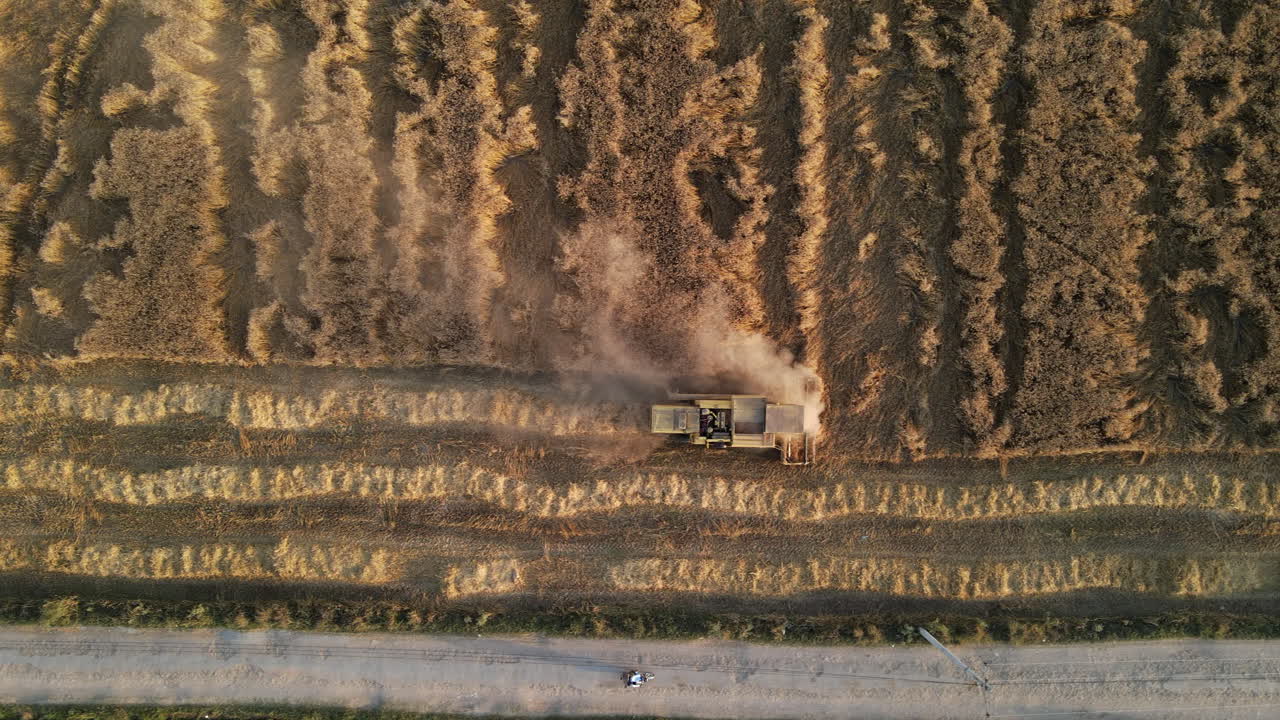 여름 에  ⁇  에서 밀 을 수확 하는 수확기 의  ⁇ 면, 파키스탄 의 농장 의 모습
