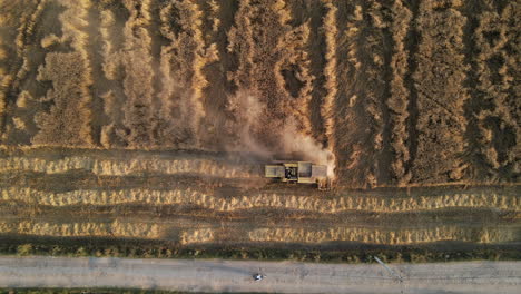 vista superior de una cosechadora cosechando trigo en un campo durante el verano, vista de un campo agrícola en pakistán