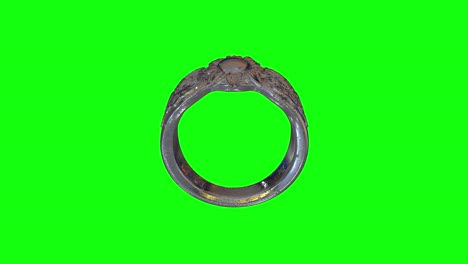 8 animations silver ring jewel green screen