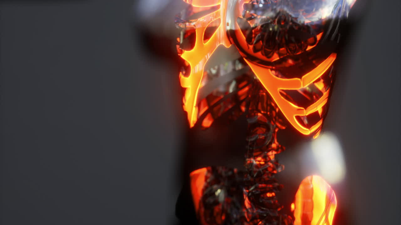 Understanding the intricate anatomy of the human body skeleton system