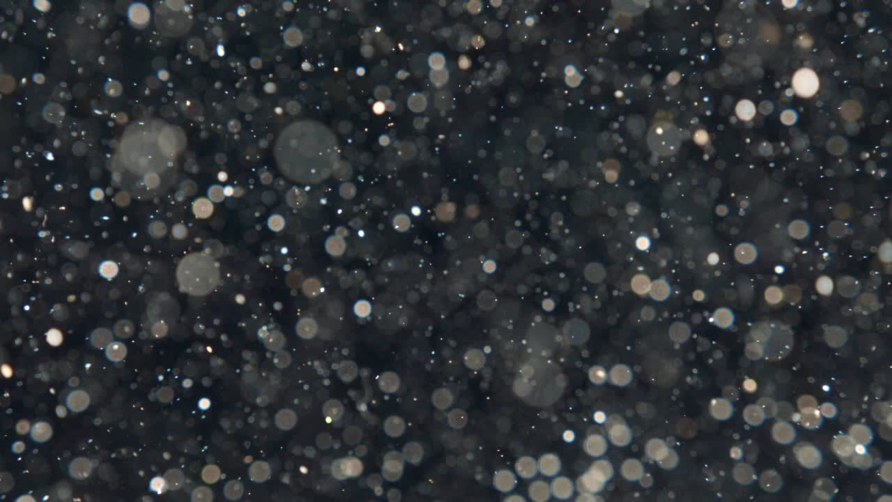 Elegant, detailed, and delightful bokeh and particles visuals with shallow depth of field underwater