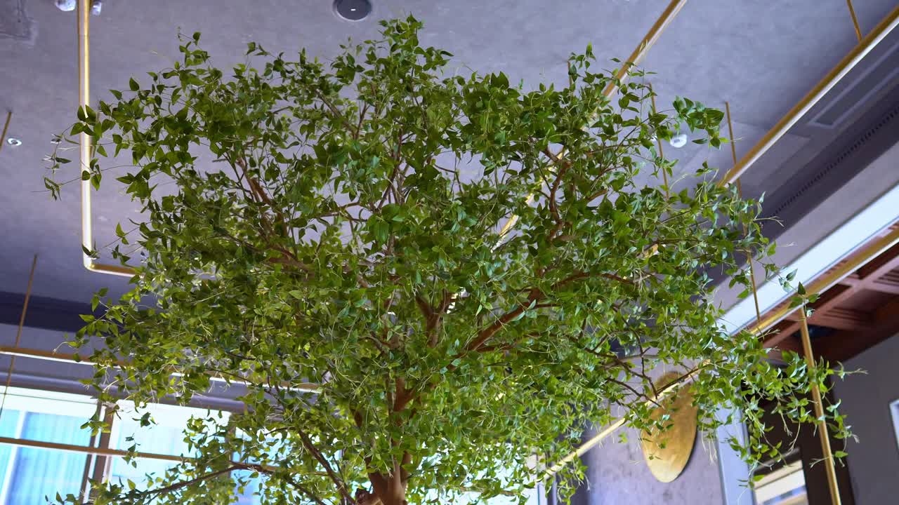 Artificial plants with Plastic realistic leaves and plants