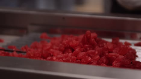 red jelly gummy vitamins dropped onto machine for sorting - nutraceuticals