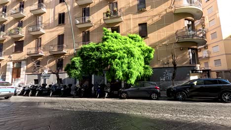 police car driving through naples, italy