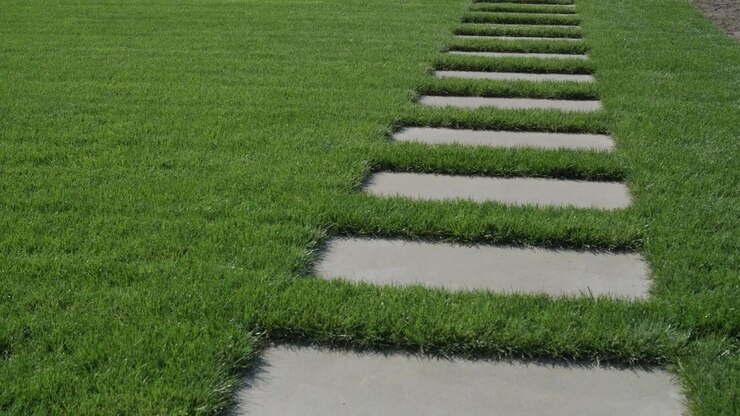 Concrete Stepping Stones in a Lush Green Lawn