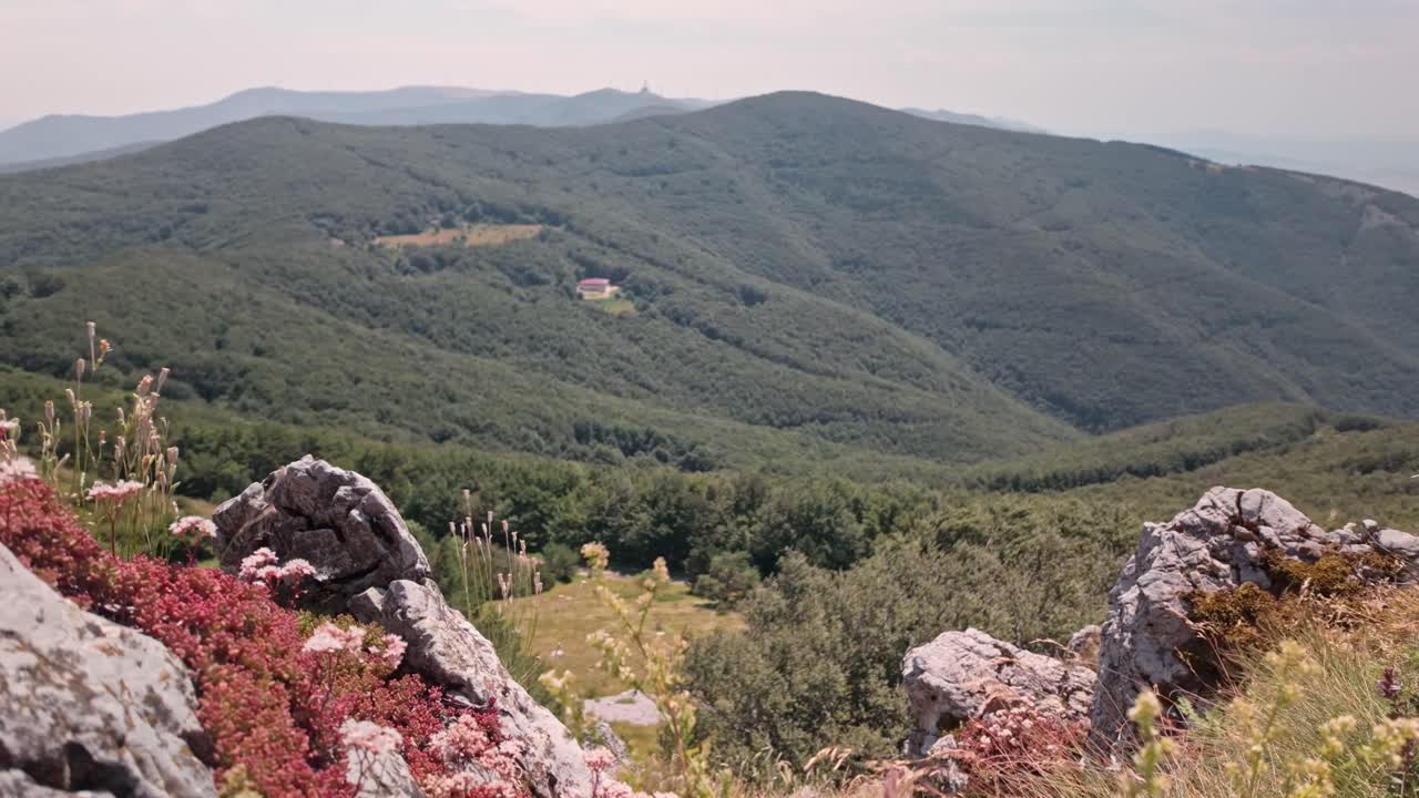 Stunning Mountain Landscape with Wildflowers