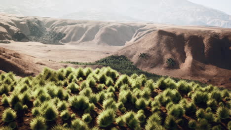 Lugar-Muy-Remoto-Cubierto-De-Hierba-Spinifex-En-El-Gran-Desierto-De-Victoria