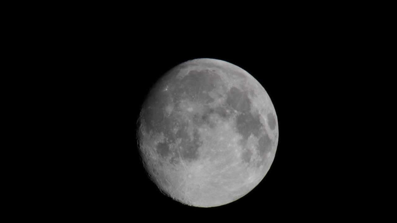 Pássaro voando em frente a uma lua cheia, em close-up.