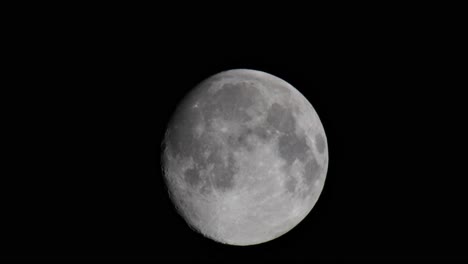 Pájaro-Volando-Frente-A-La-Luna-Llena-De-Cerca