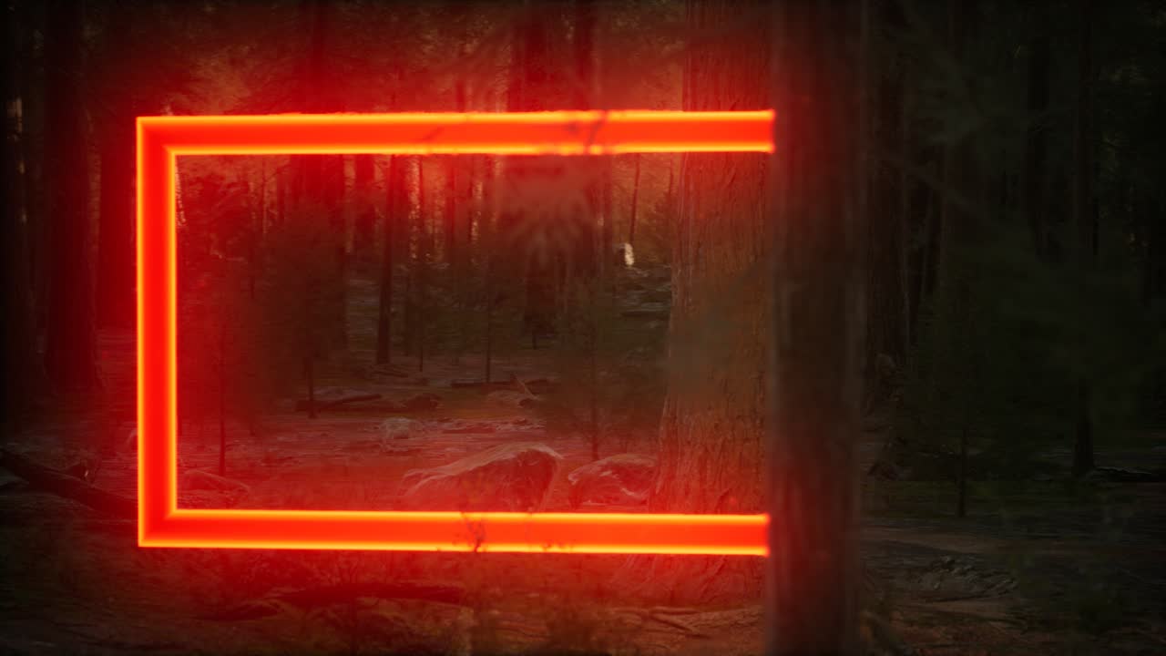 marco rectangular brillante de neón en el bosque nocturno