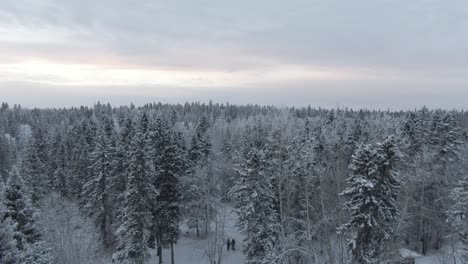 2-Personen,-Die-Von-Oben-In-Den-Waldsonnenuntergang-Gehen