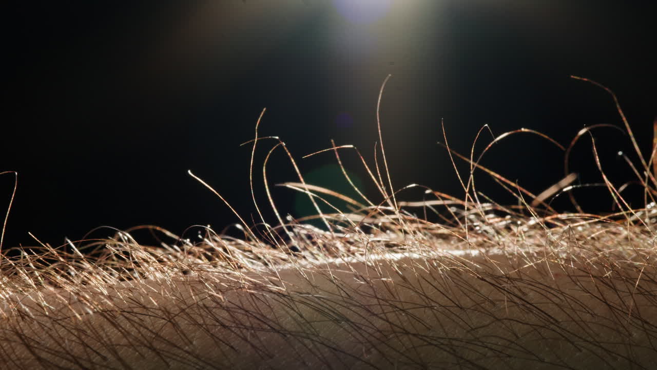 Close-up of human arm hair