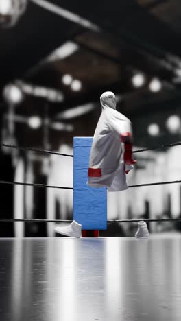 equipo de boxeo en un ring