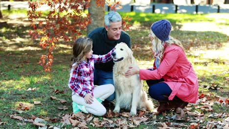 Family-sitting-in-the-park-with-their-dog