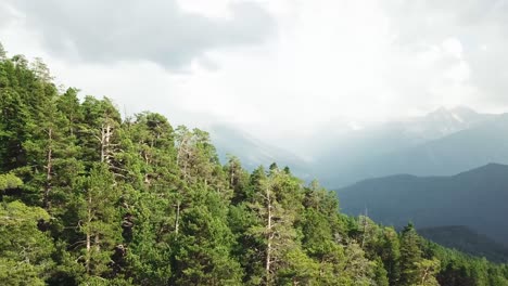 mountain forest landscape