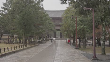 Rain-at-Todaiji-Temple-in-Nara-Japan