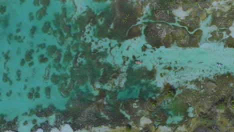 Kayakers-in-Gorgeous-Ocean-Reef-Landscape---Aerial-Top-Down-Drone-View